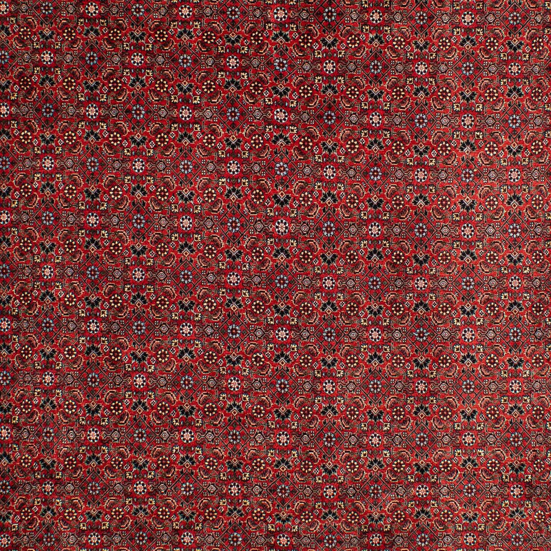 Perser Rug - Bidjar - 295 x 203 cm - dark red