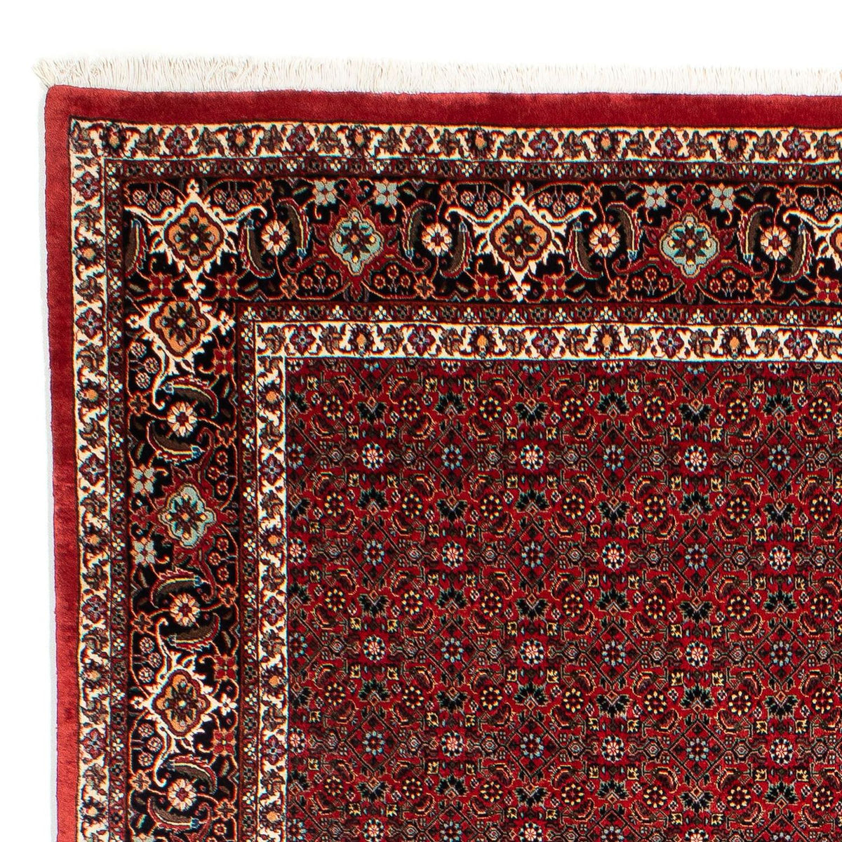Perser Rug - Bidjar - 295 x 203 cm - dark red