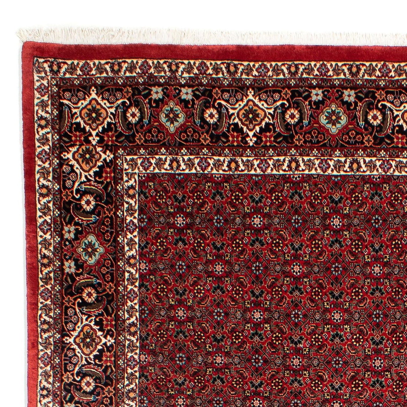 Bidjar Rug 295x203cm - Persian Rugs