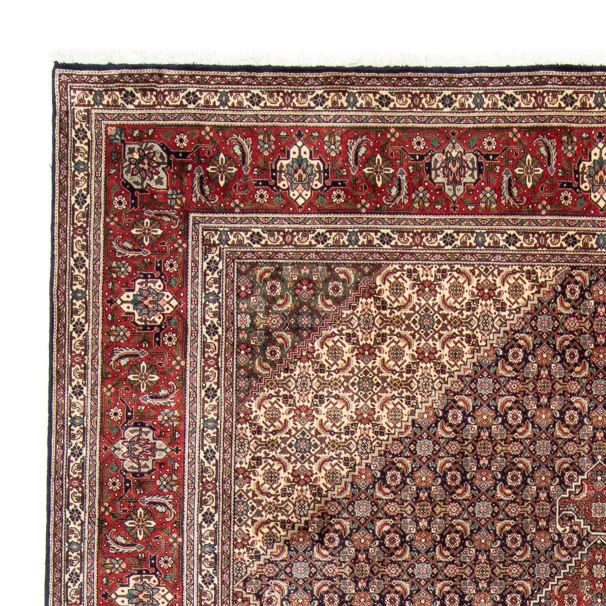 Tabriz Rug 247x343cm - Persian Rugs