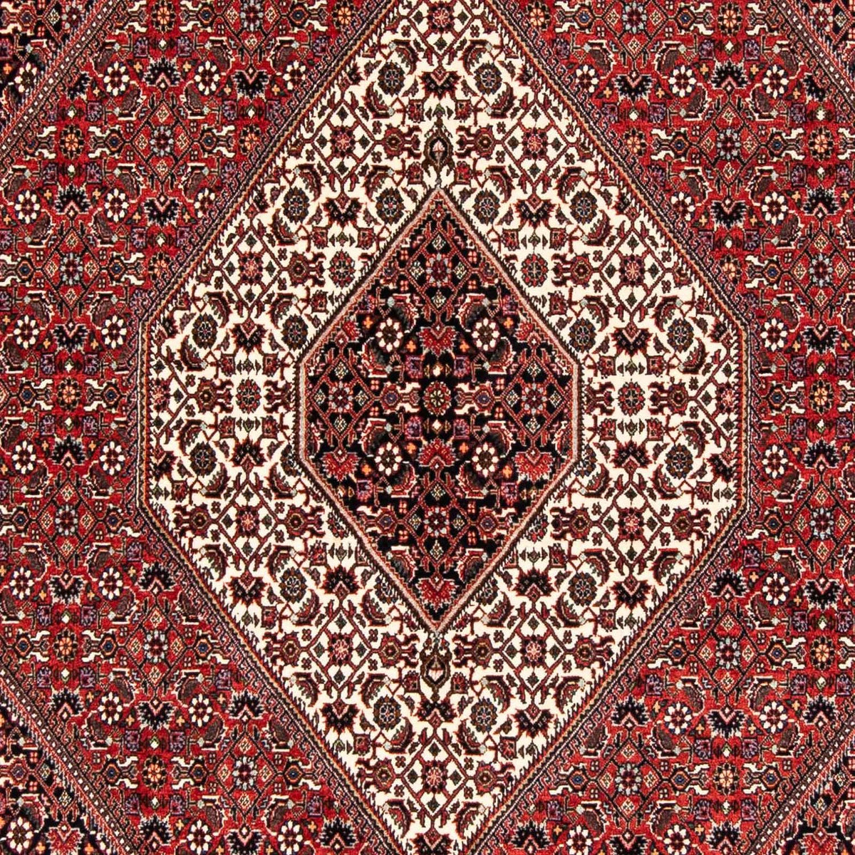 Perser Rug - Bidjar - 243 x 170 cm - light red