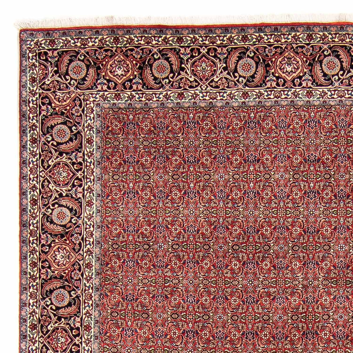 Perser Rug - Bidjar - 300 x 252 cm - dark red