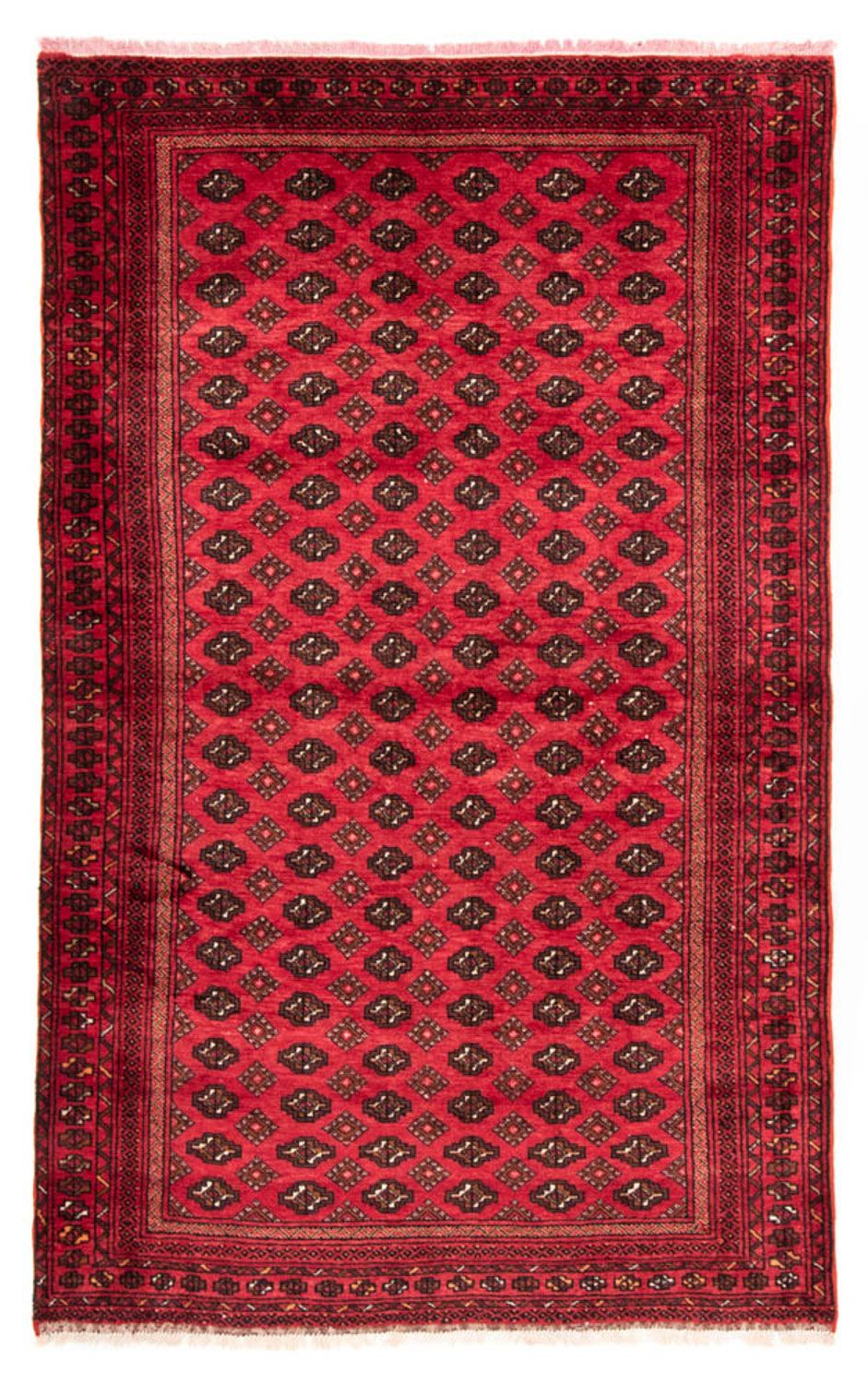 Belutsch Rug - 212 x 129 cm - red