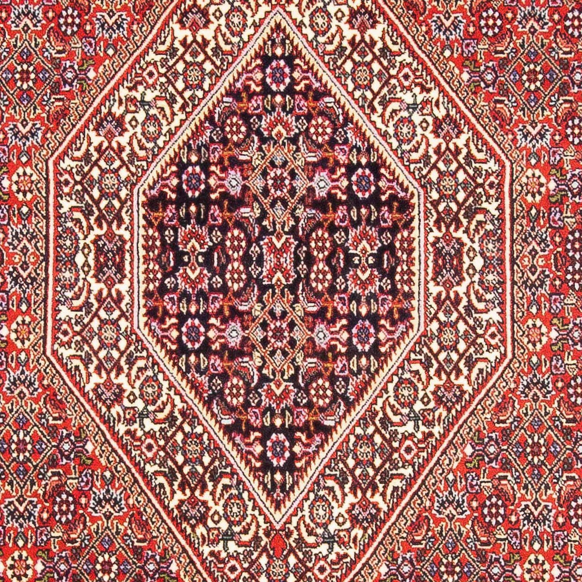 Perser Rug - Bidjar - 182 x 112 cm - light red