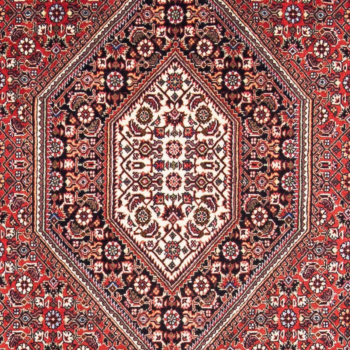 Perser Rug - Bidjar - 170 x 111 cm - red