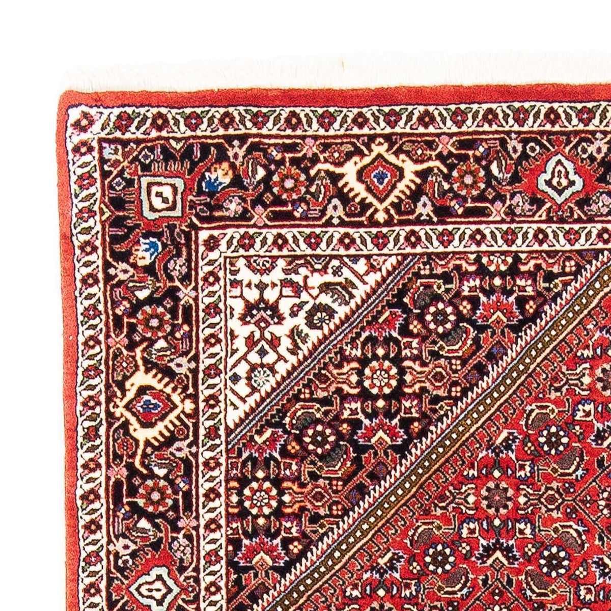 Perser Rug - Bidjar - 167 x 108 cm - red
