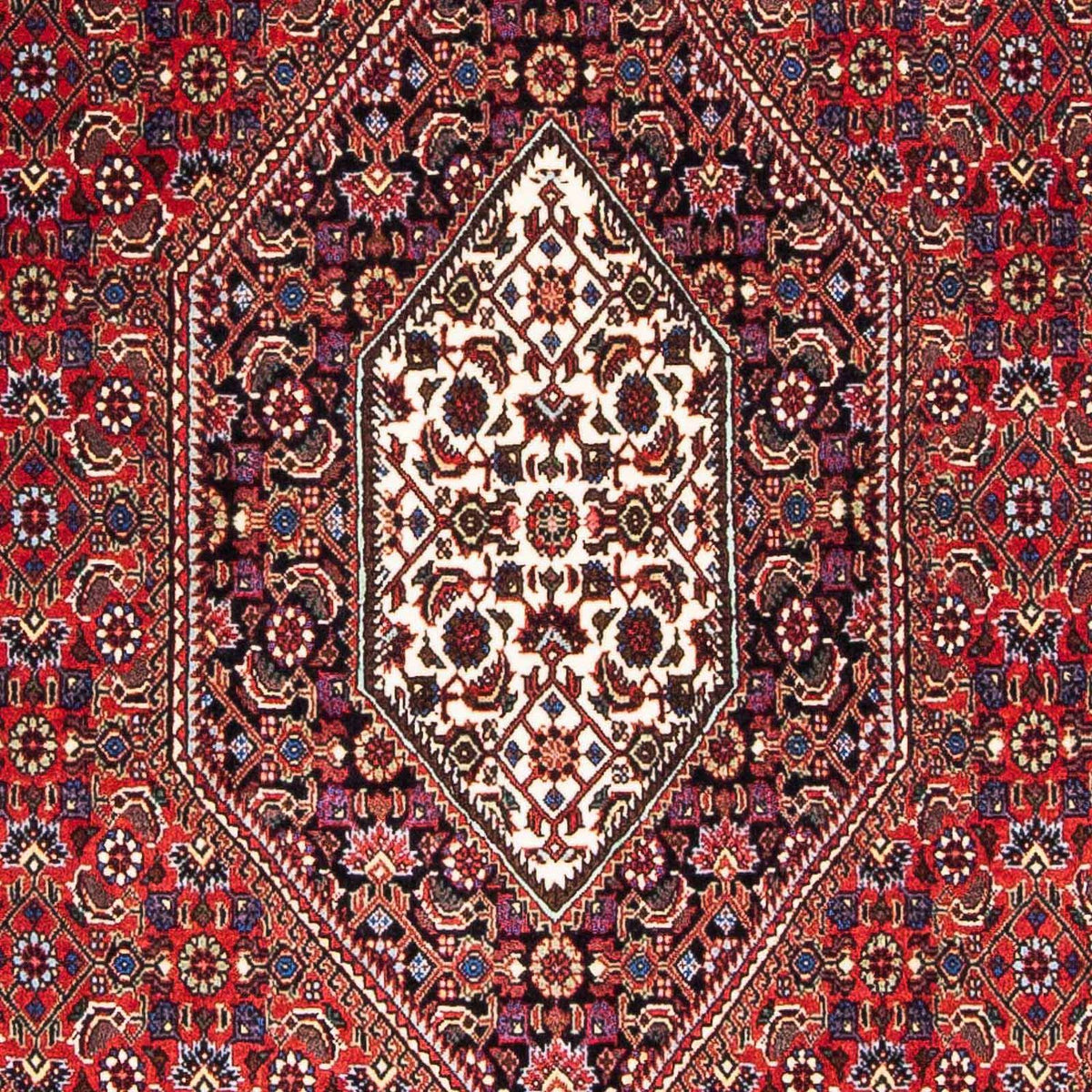 Perser Rug - Bidjar - 176 x 112 cm - red