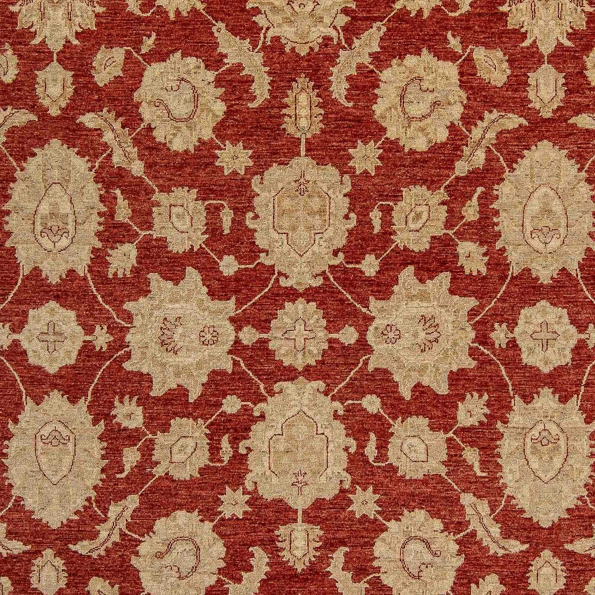 Ziegler Rug - 321 x 244 cm - dark red