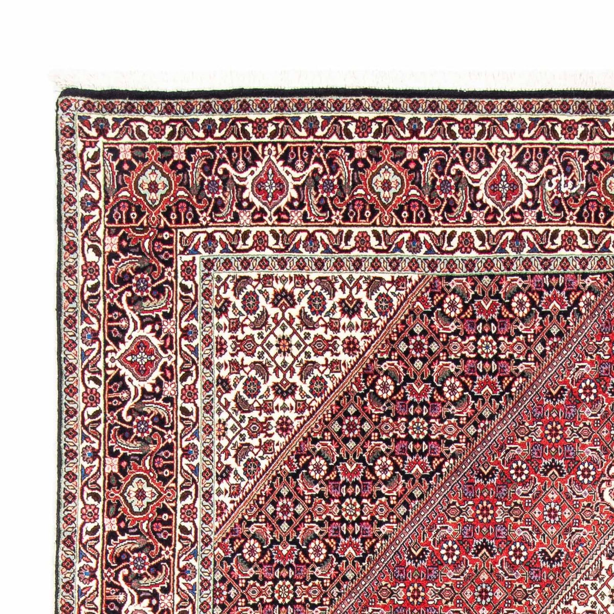 Bidjar Rug 171x243cm - Persian Rugs