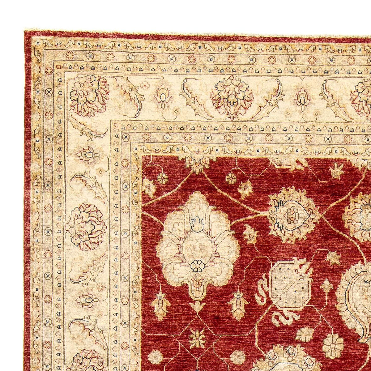 Ziegler Rug 295x390cm - Persian Rugs