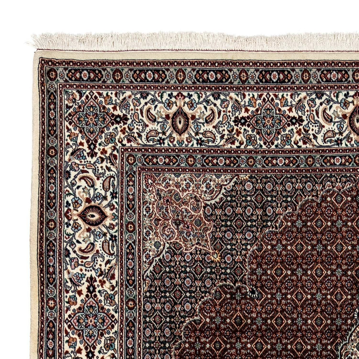 Moud Rug 245x344cm - Persian Rugs