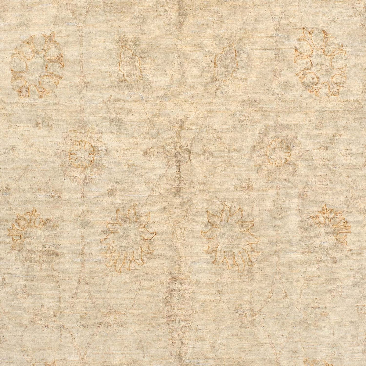 Ziegler Rug - 235 x 170 cm - beige