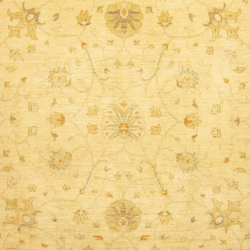 Ziegler Rug - 349 x 274 cm - beige