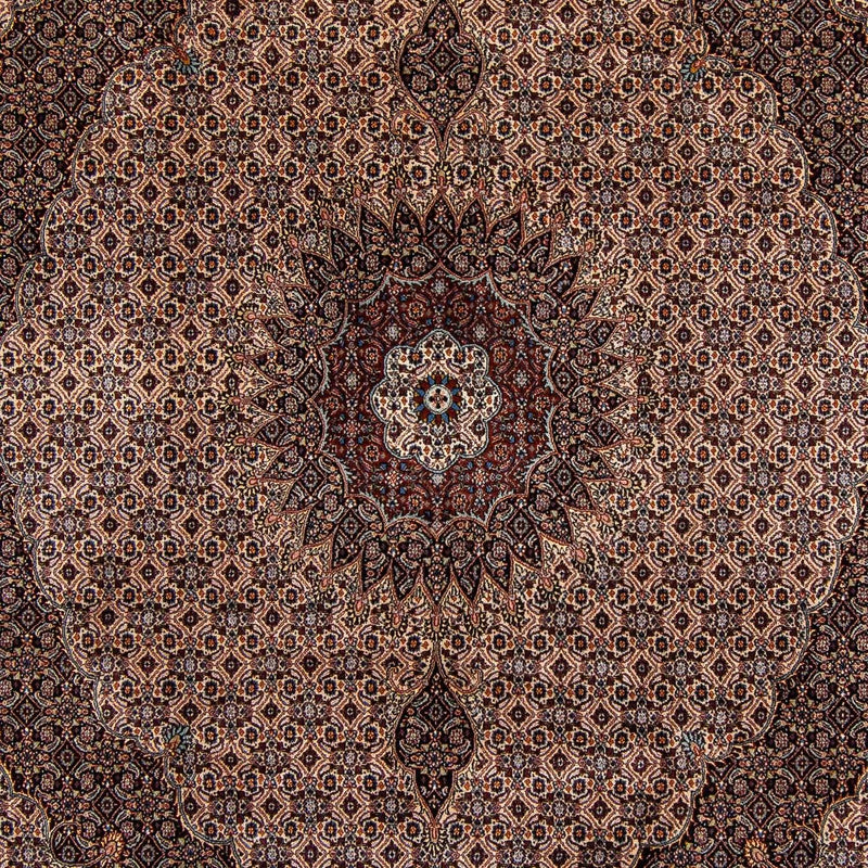 Perser Rug - Classic - 305 x 251 cm - dark brown