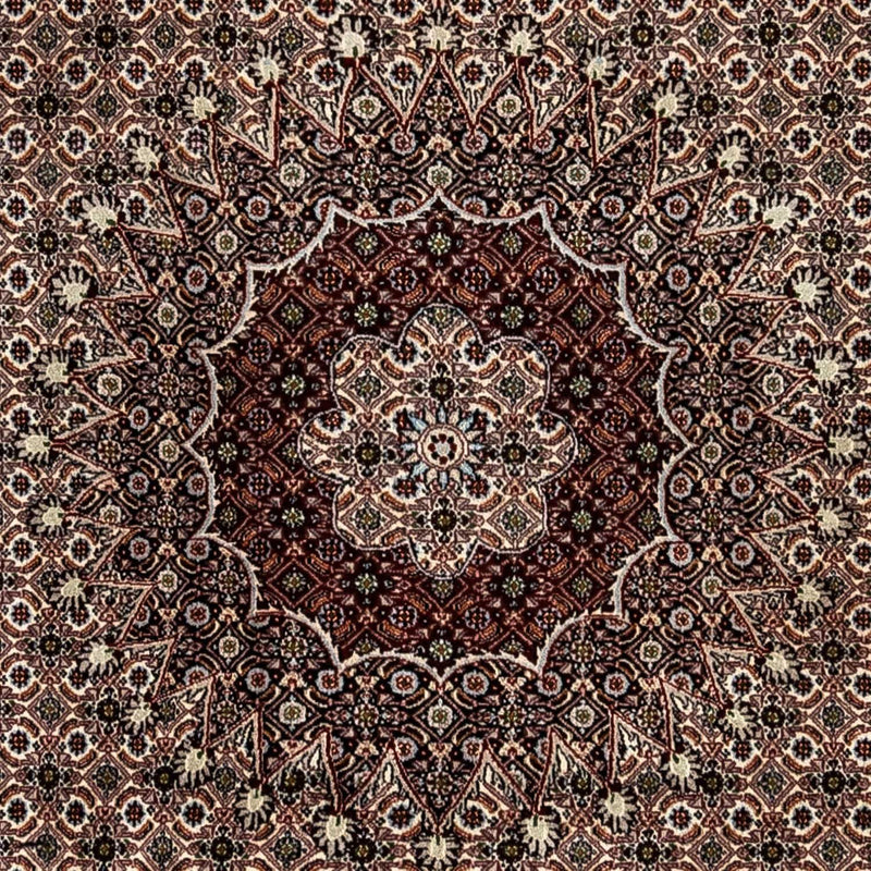 Perser Rug - Classic - 328 x 245 cm - beige