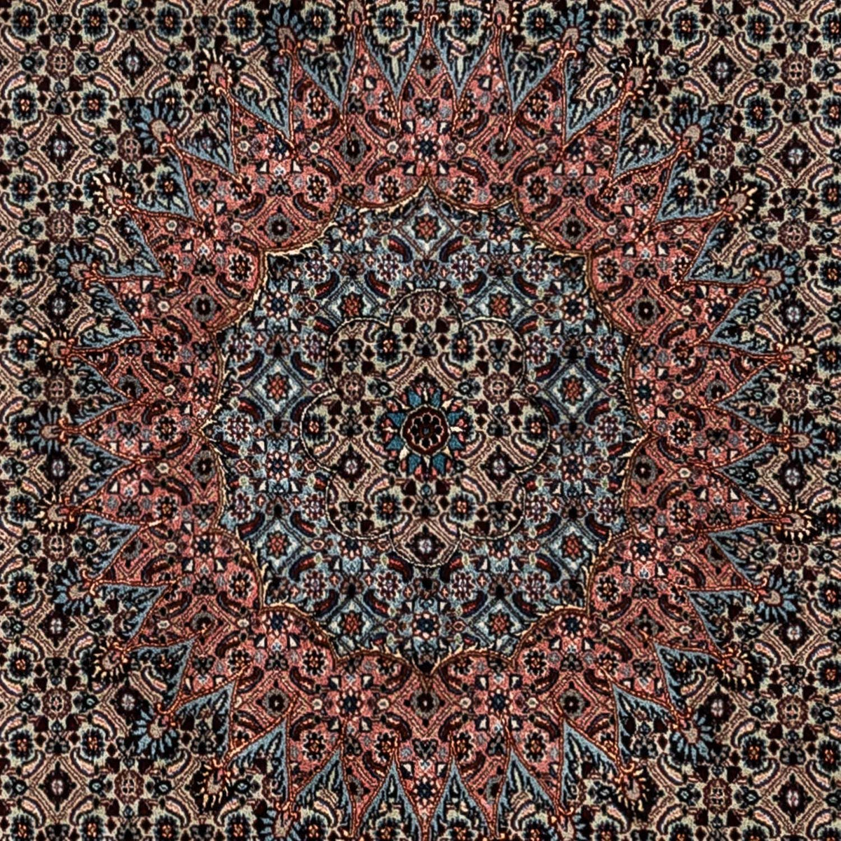 Perser Rug - Classic - 347 x 252 cm - light chocolate