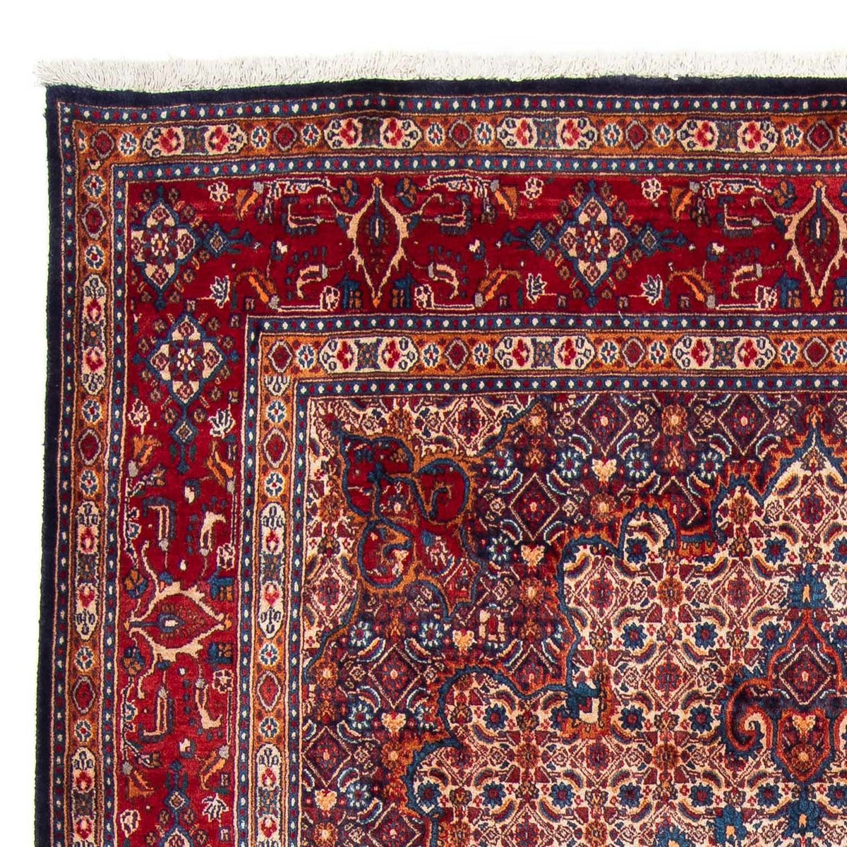 Moud Rug 205x295cm - Persian Rugs