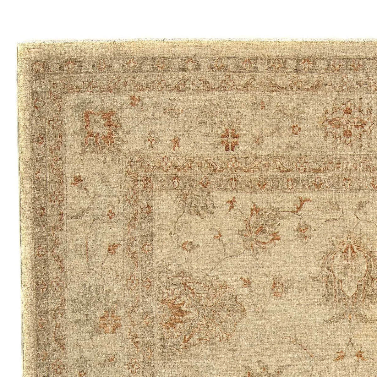Ziegler Rug - 301 x 244 cm - beige