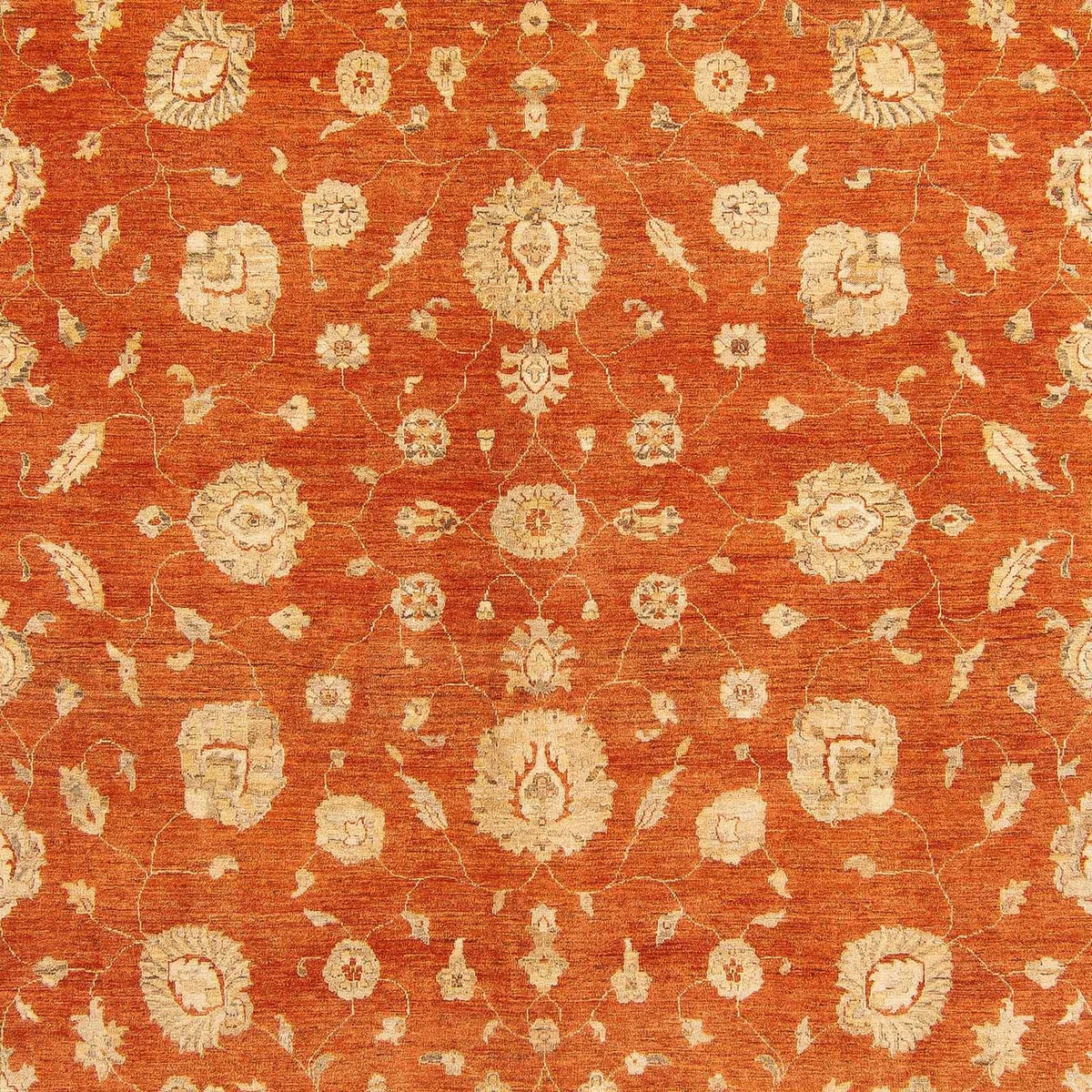 Ziegler Rug - 386 x 296 cm - rust