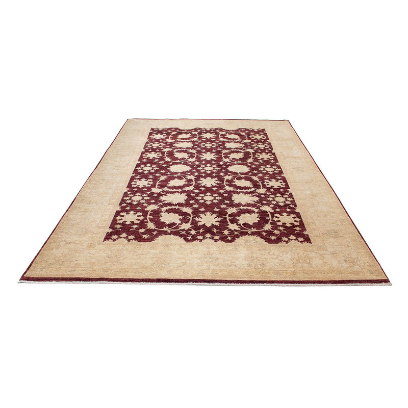 Ziegler Rug - 345 x 249 cm - dark red