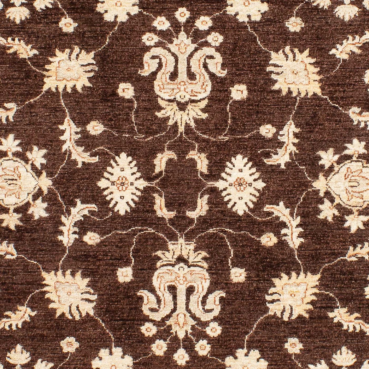 Ziegler Rug - 235 x 164 cm - brown