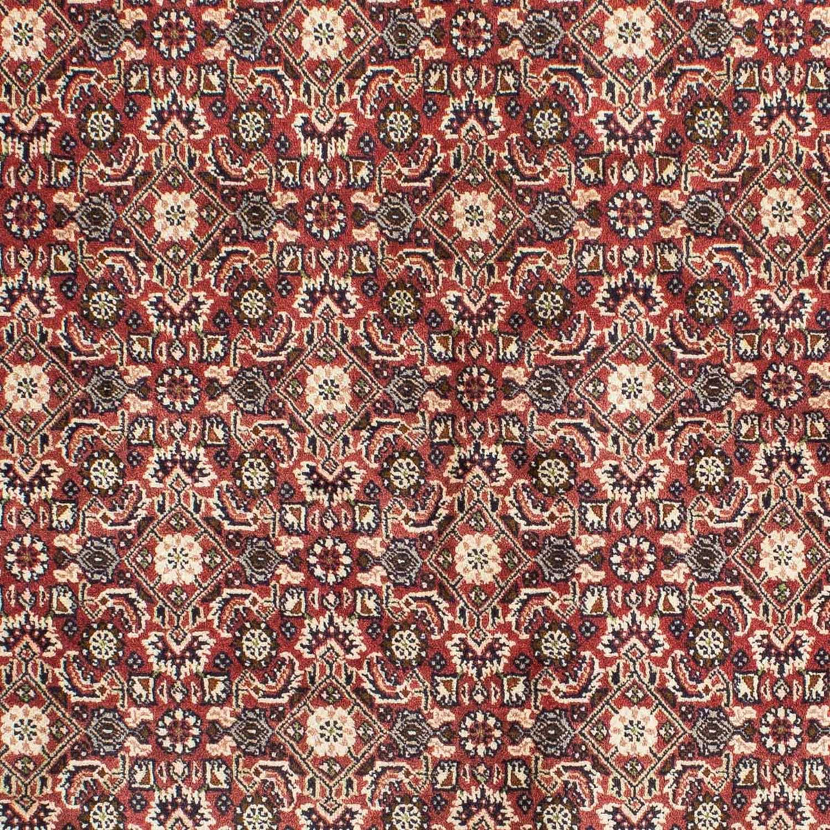 Perser Rug - Bidjar - 208 x 137 cm - red