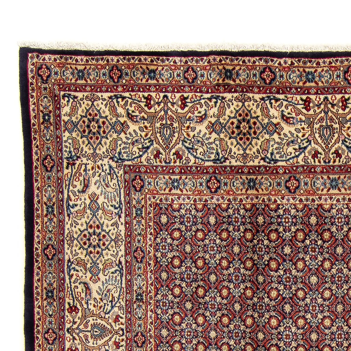 Moud Rug 252x252cm - Persian Rugs