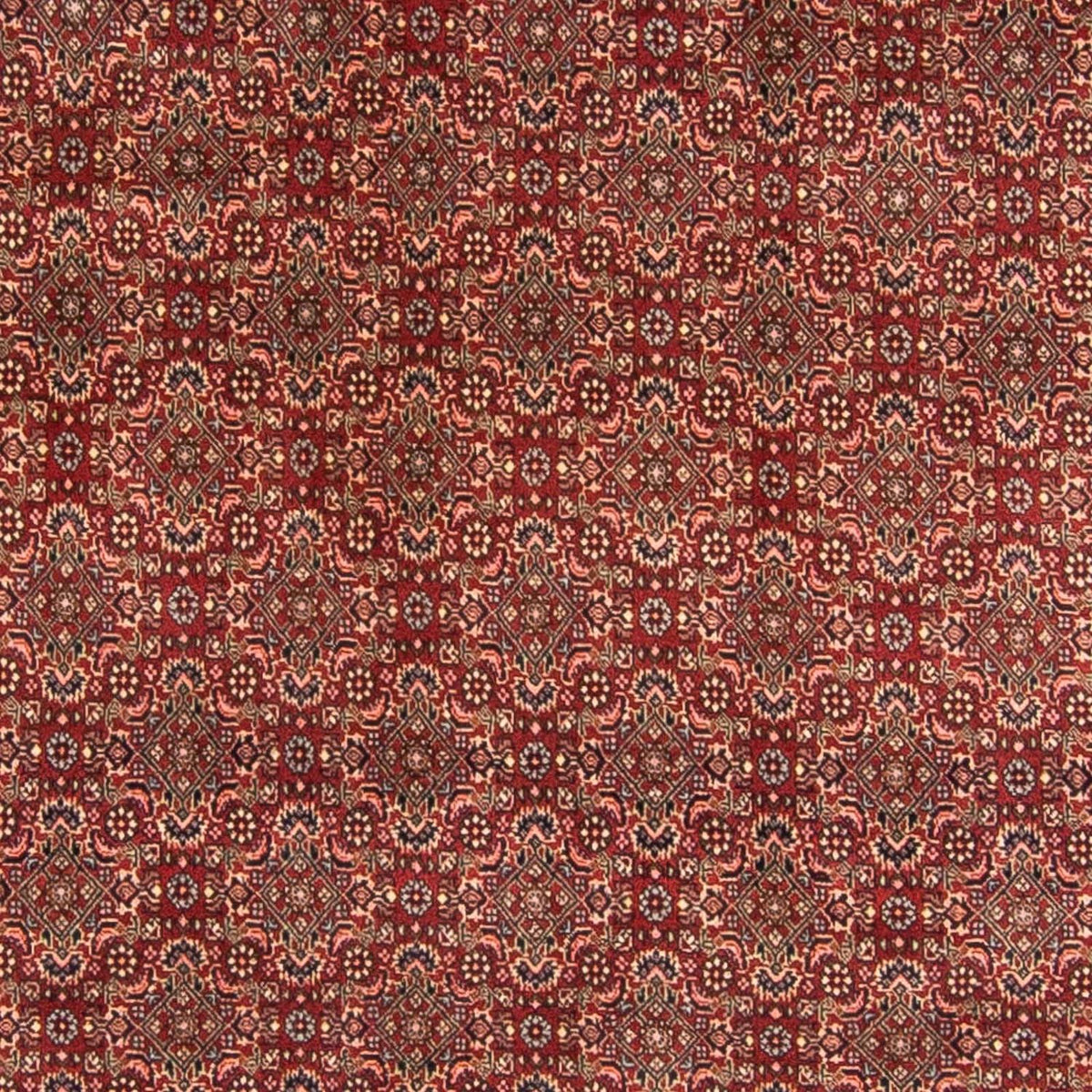 Perser Rug - Bidjar - 298 x 200 cm - dark red