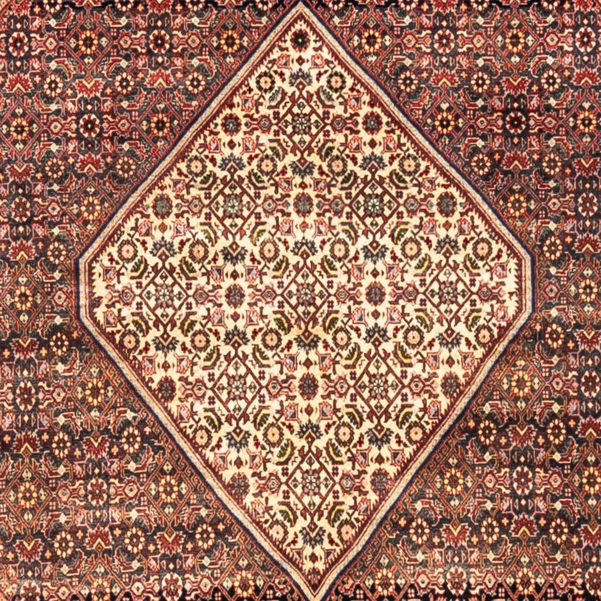Perser Rug - Bidjar square  - 208 x 198 cm - red