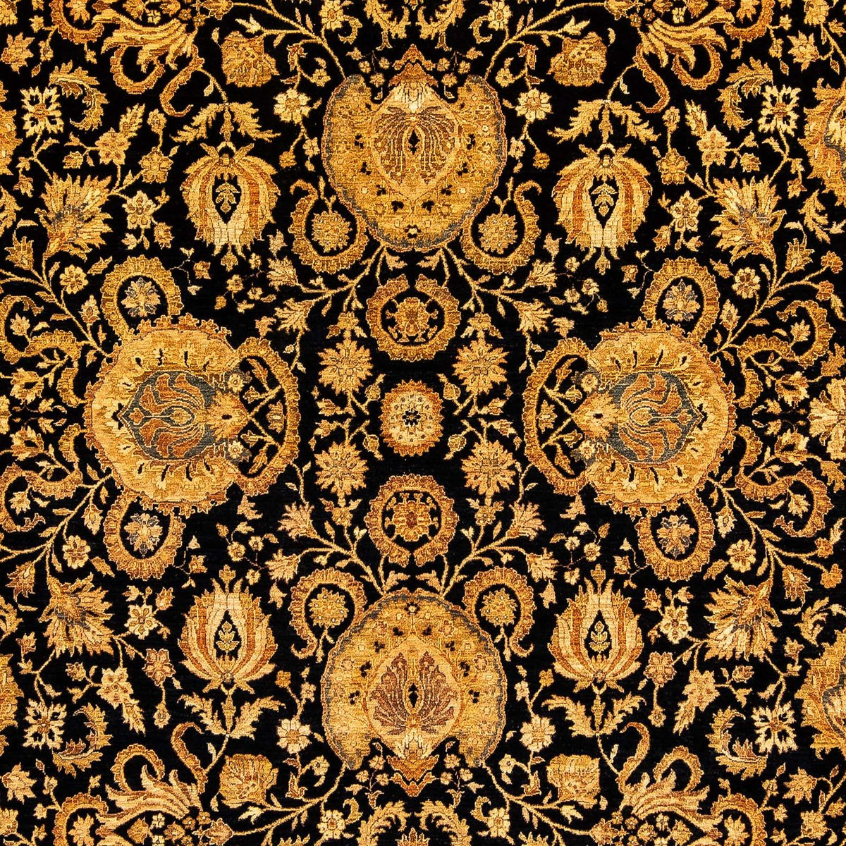 Ziegler Rug - 344 x 247 cm - gold