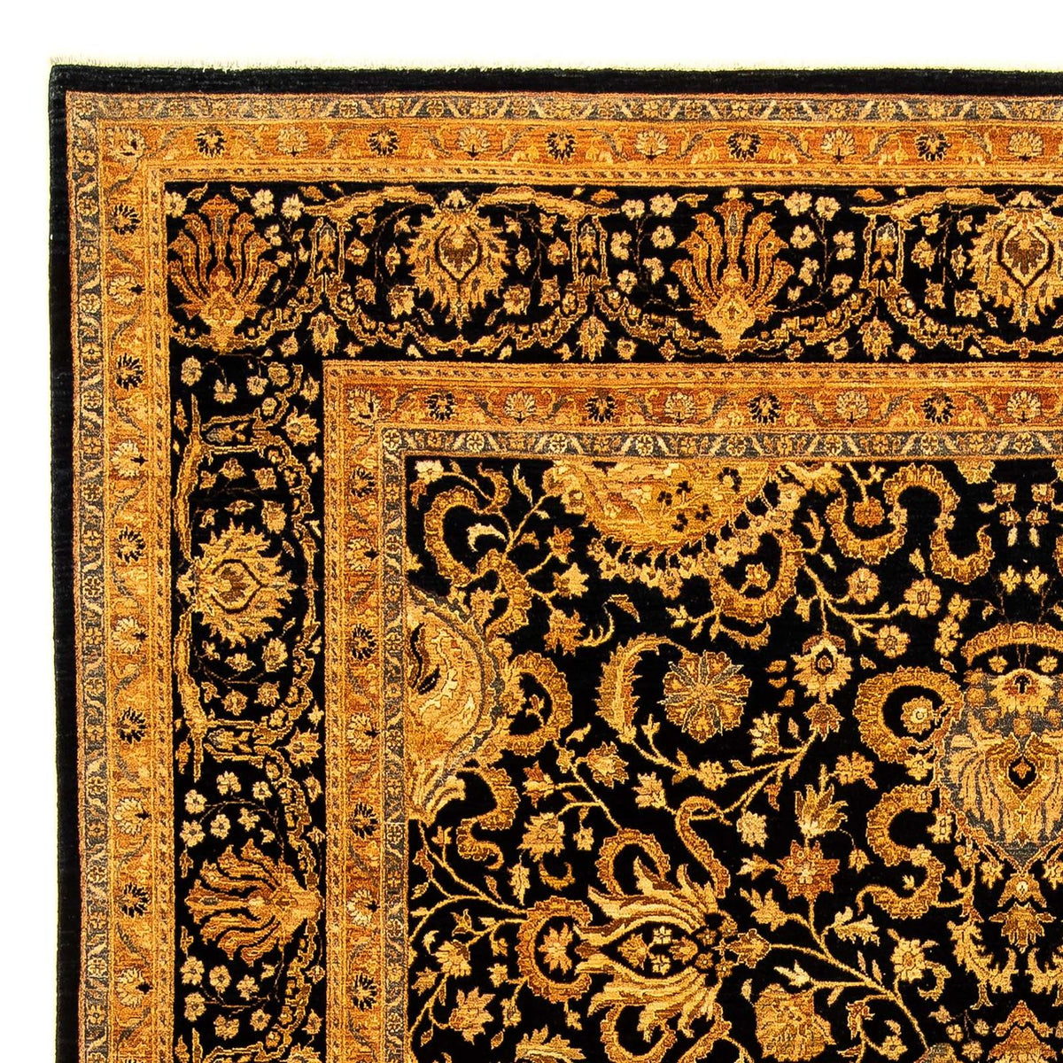 Ziegler Rug - 344 x 247 cm - gold