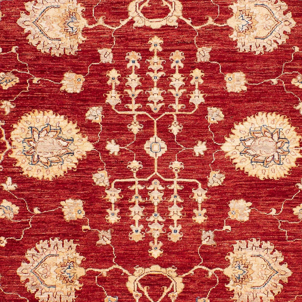 Ziegler Rug - 218 x 169 cm - dark blue