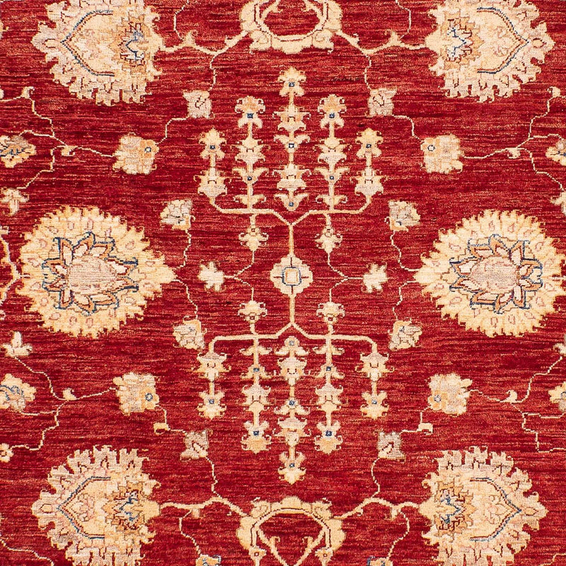 Ziegler Rug - 218 x 169 cm - dark blue