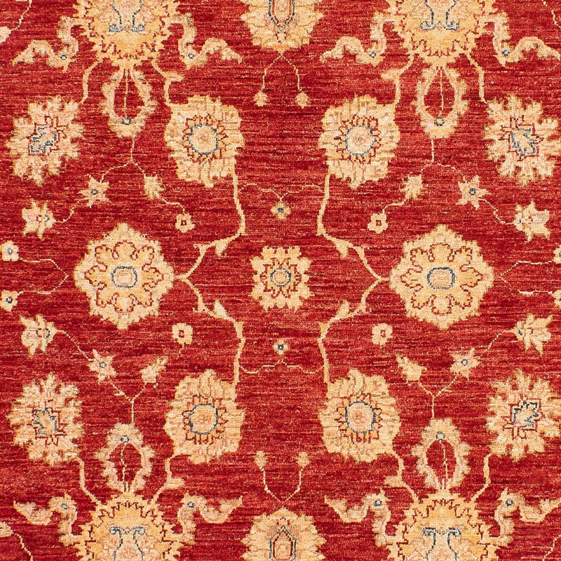Ziegler Rug - 245 x 163 cm - red