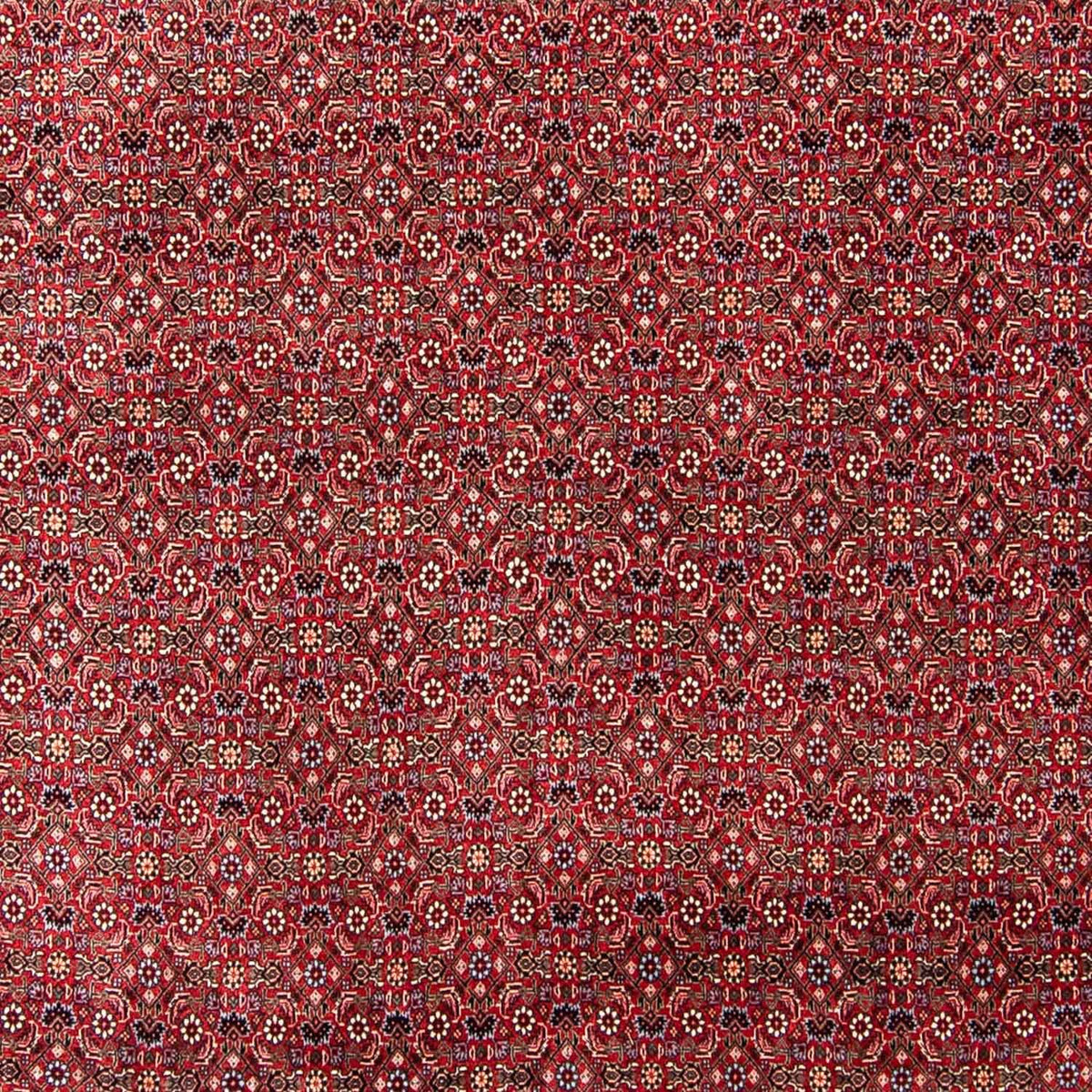 Perser Rug - Bidjar - 300 x 253 cm - dark red