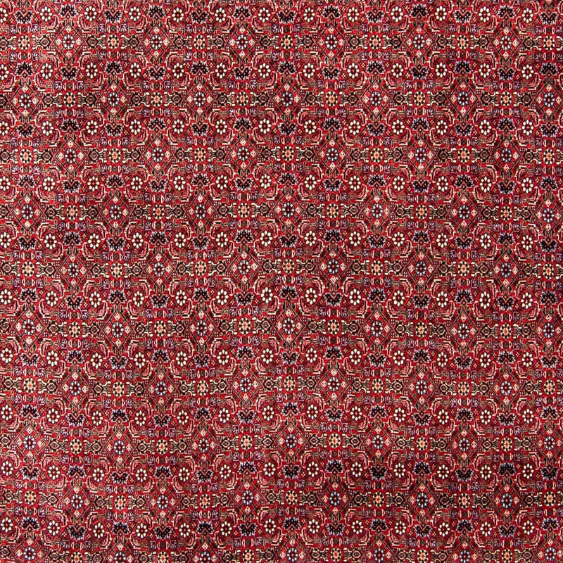 Perser Rug - Bidjar - 300 x 253 cm - dark red