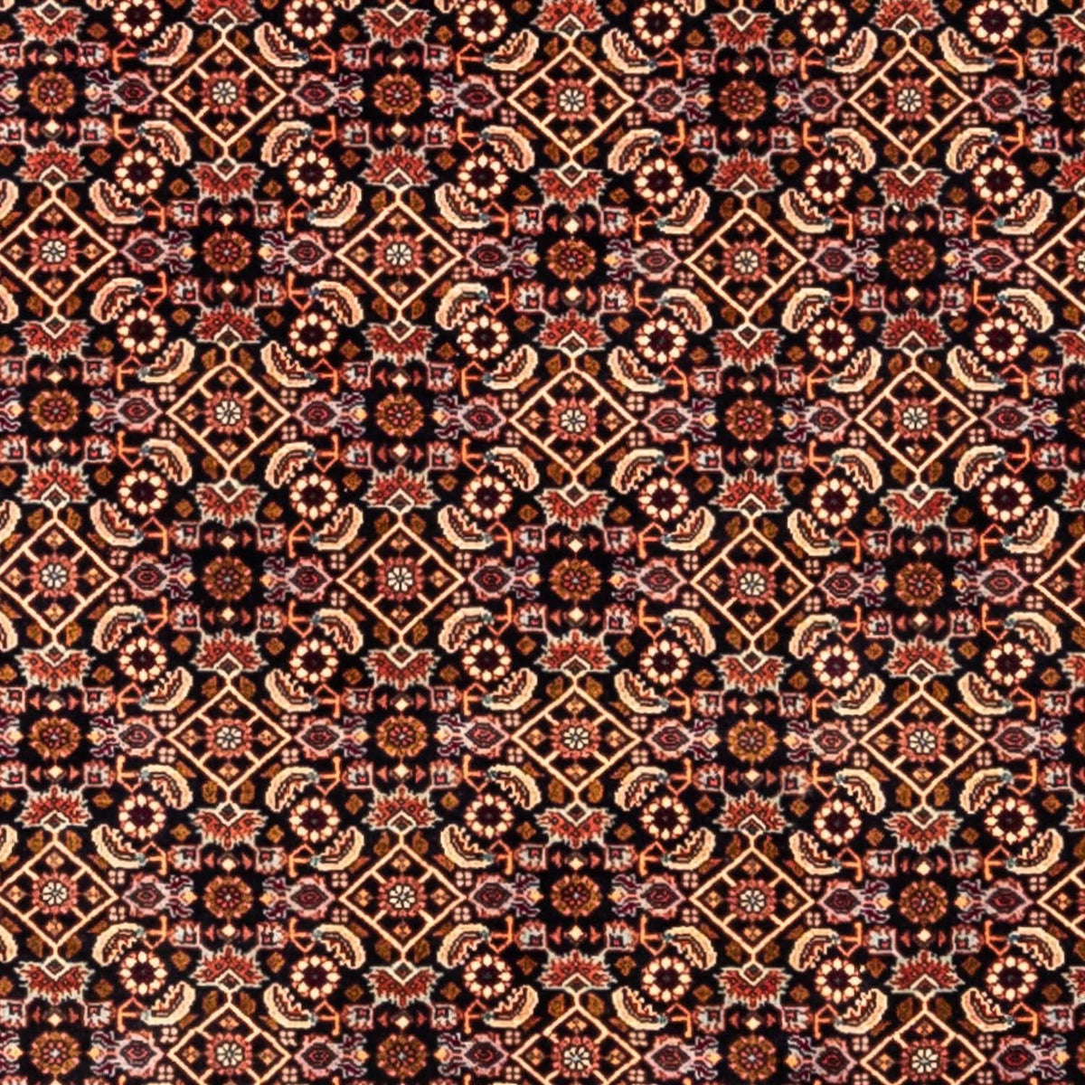 Perser Rug - Bidjar - 298 x 202 cm - black