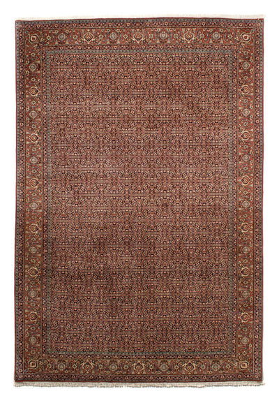 Bidjar Rug 202x298cm - Persian Rugs - multicolored