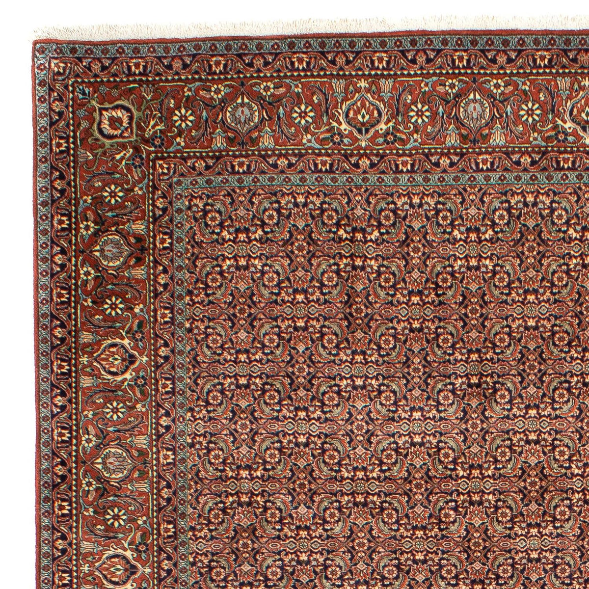 Bidjar Rug 202x298cm - Persian Rugs