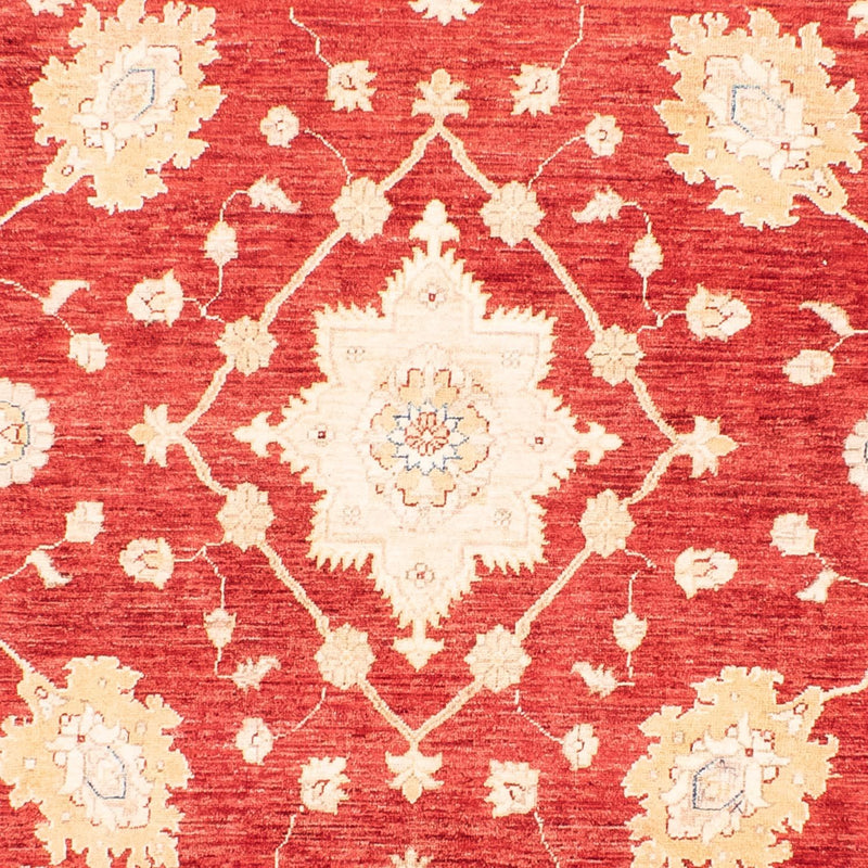 Ziegler Rug - 310 x 243 cm - red