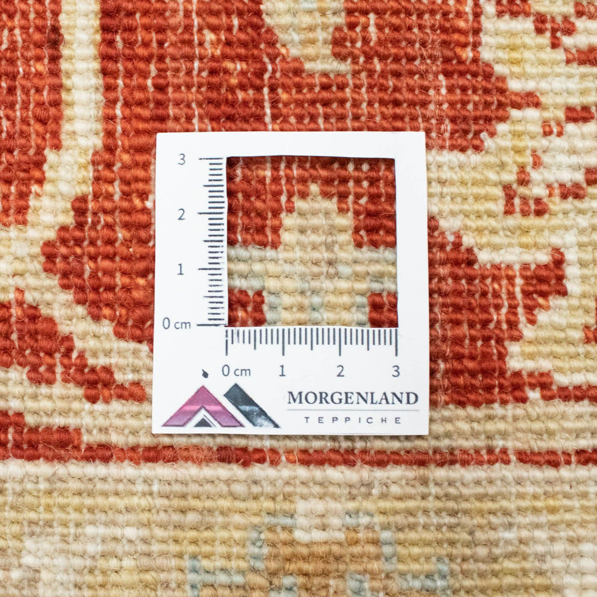 Ziegler Rug - 200 x 150 cm - beige