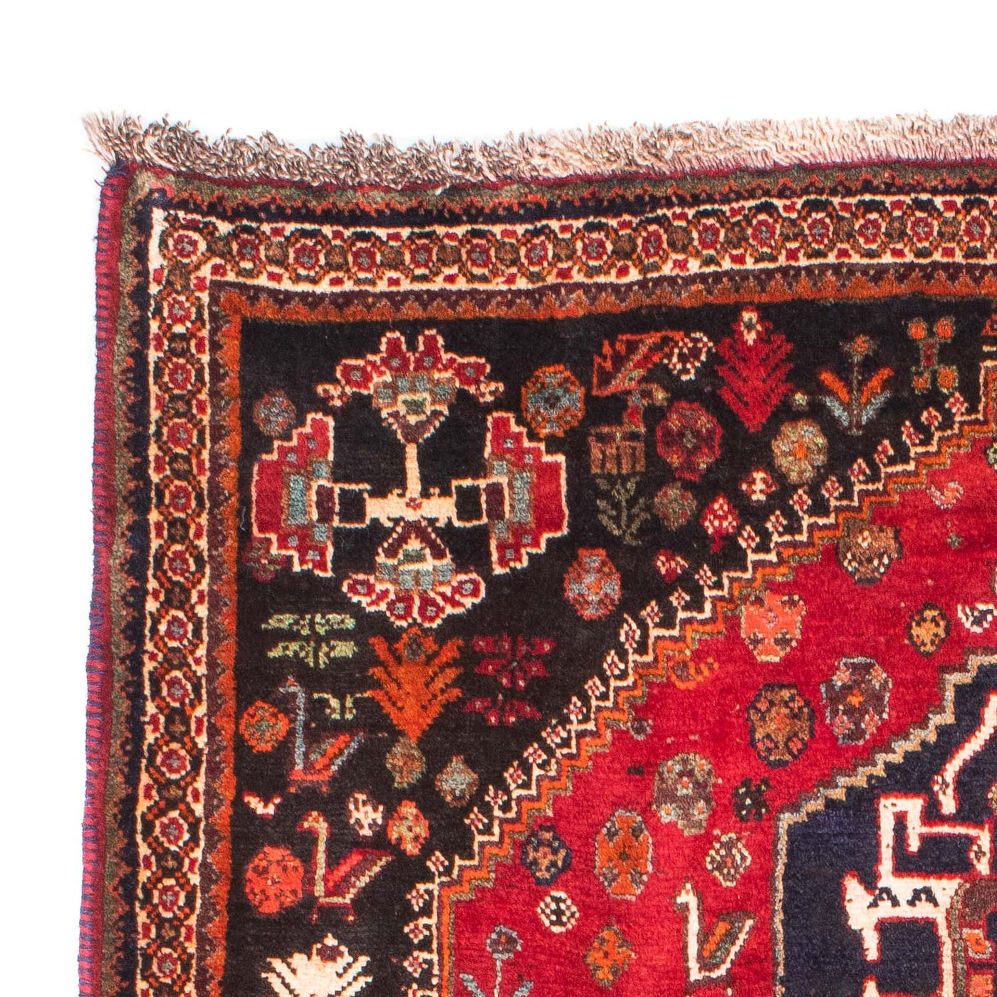Shiraz Rug 174x124cm - Persian Rugs