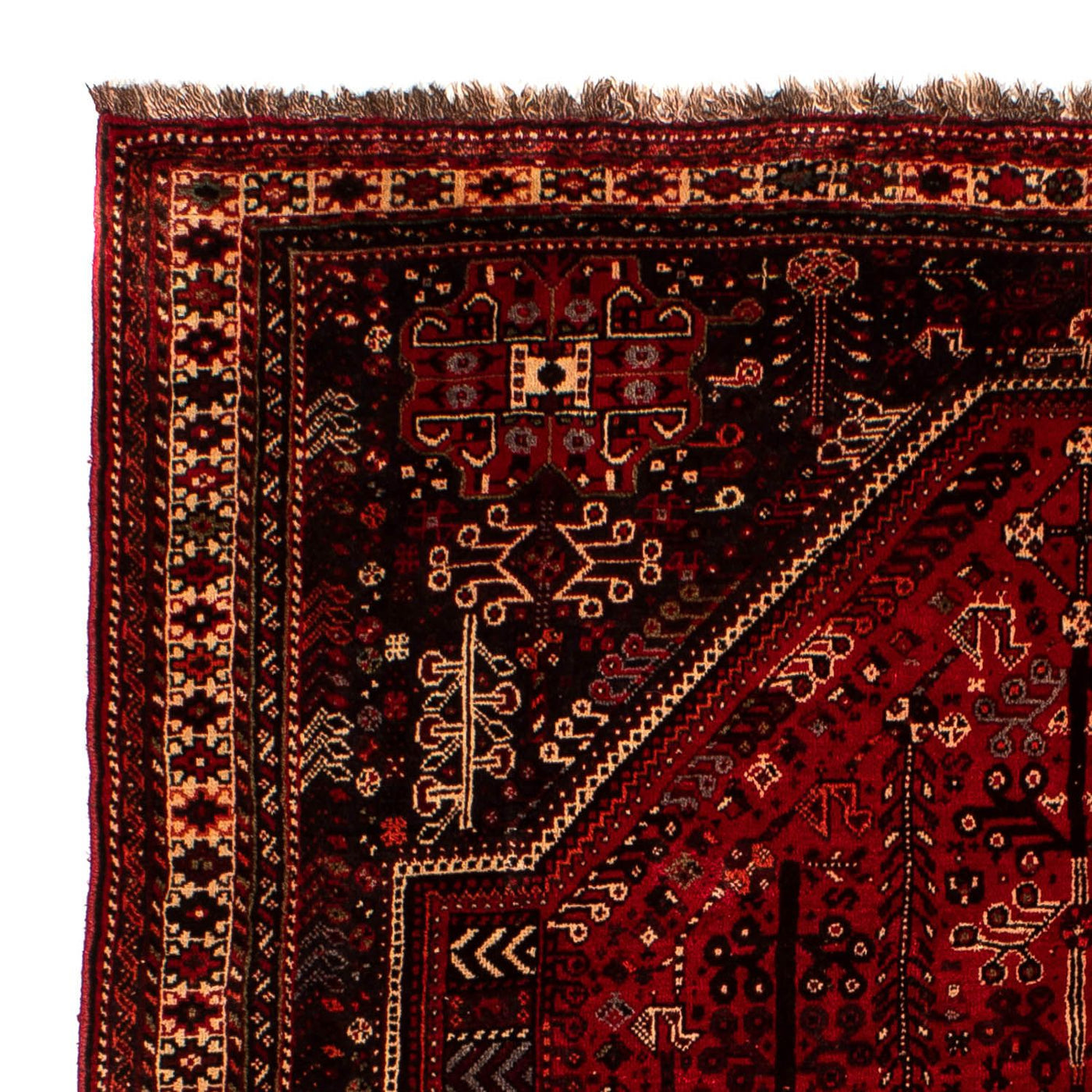Shiraz Rug 245x190cm - Persian Rugs