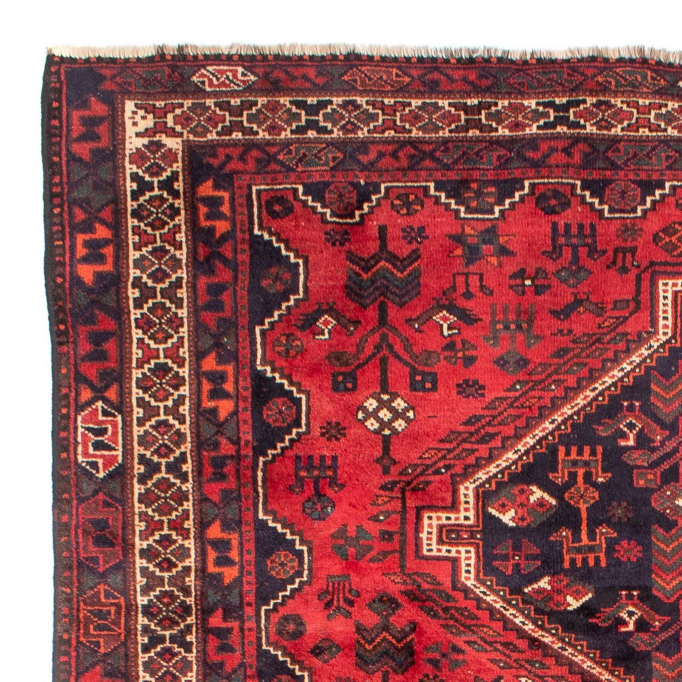 Shiraz Rug 305x215cm - Persian Rugs