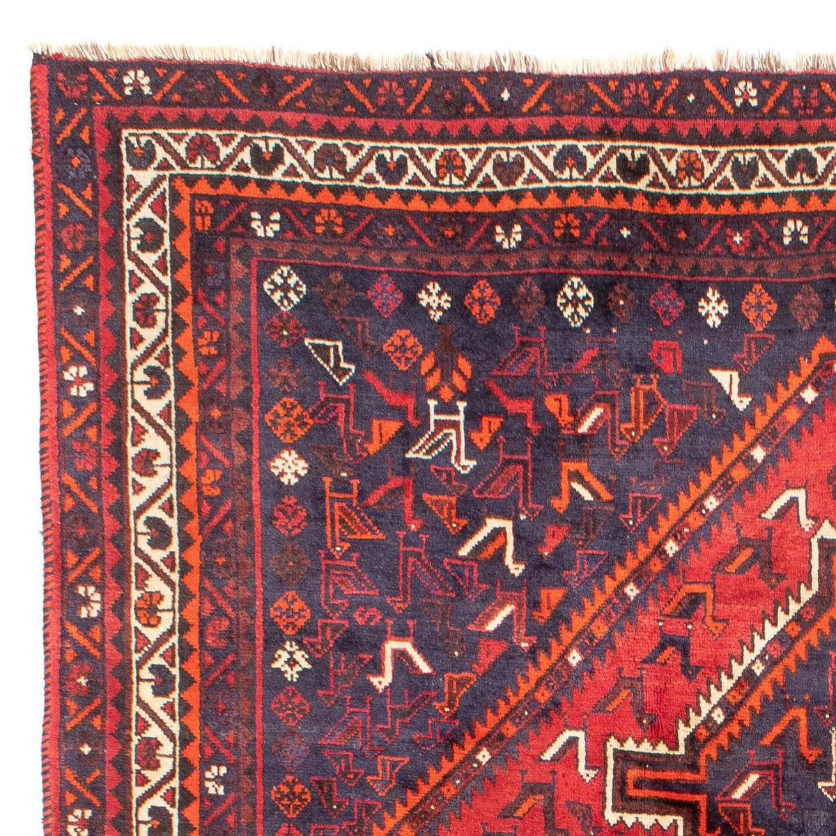 Shiraz Rug 215x300cm - Persian Rugs