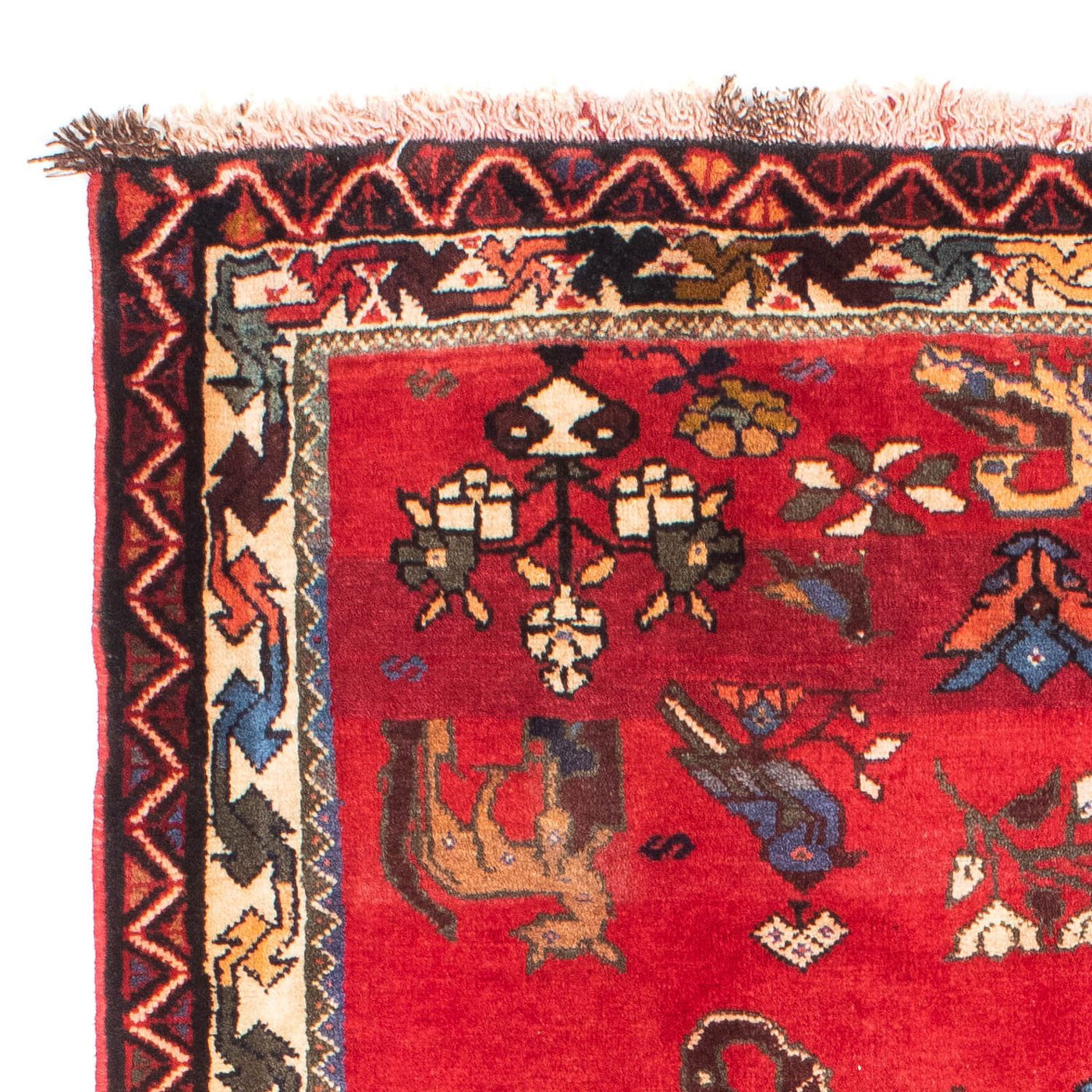 Shiraz Rug 158x123cm - Persian Rugs