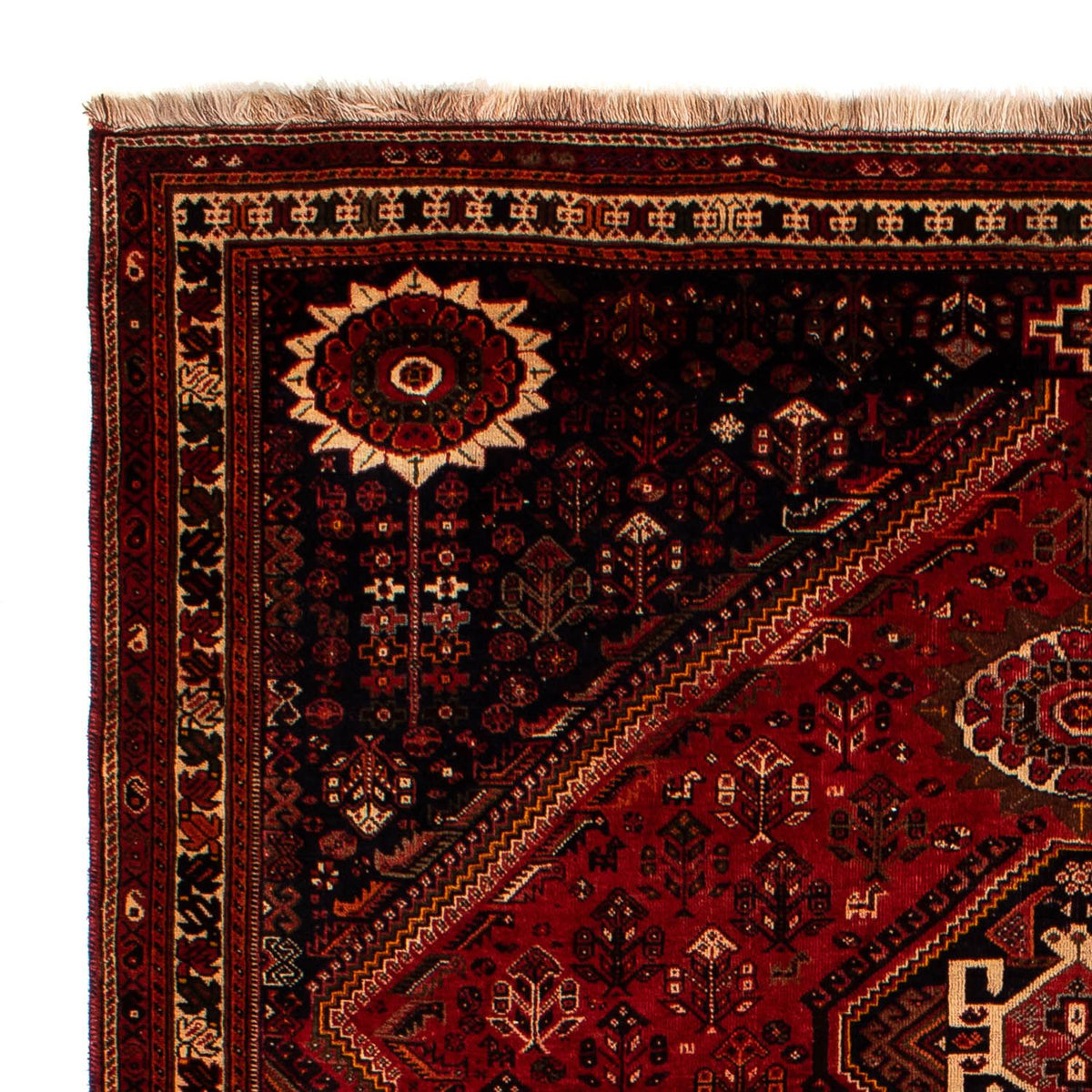 Shiraz Rug 225x322cm - Persian Rugs