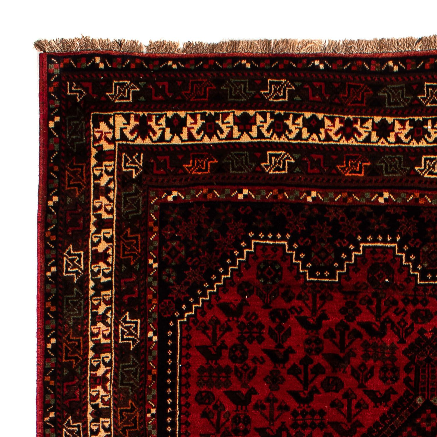 Shiraz Rug 295x200cm - Persian Rugs
