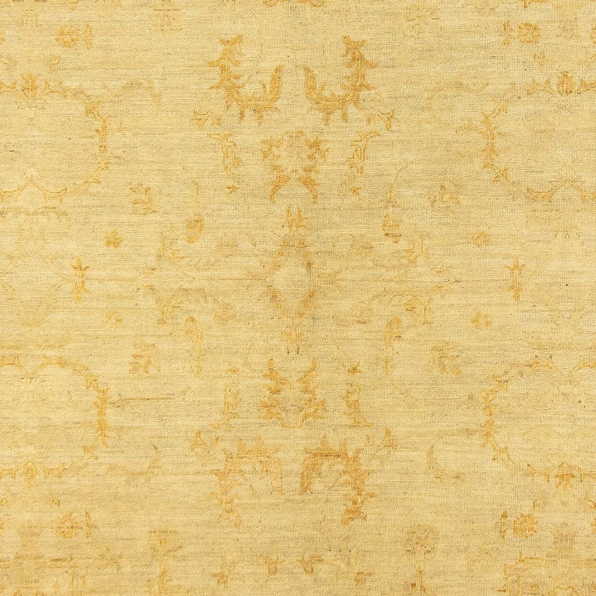 Ziegler Rug - 233 x 195 cm - beige