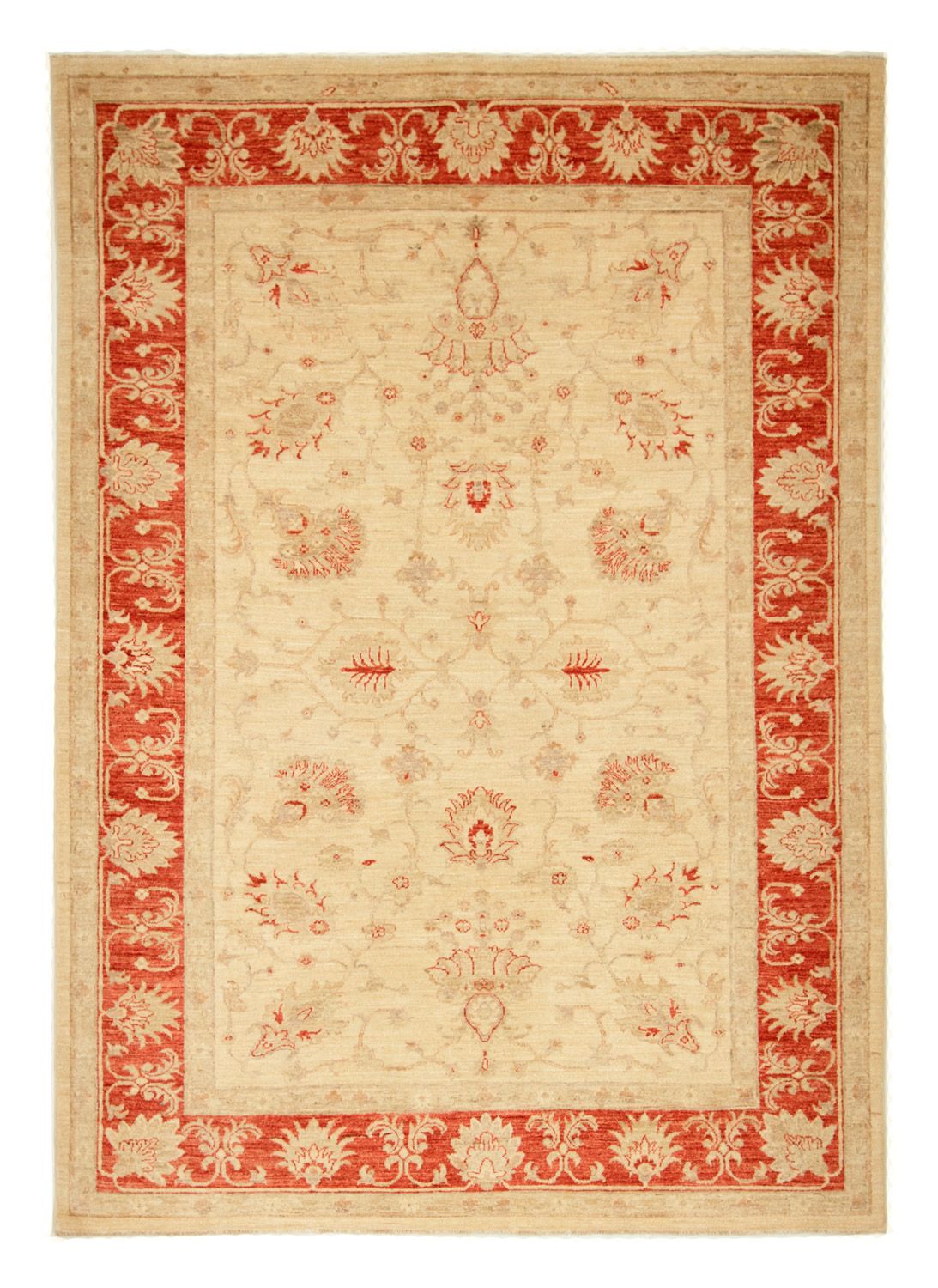Ziegler Rug - 228 x 169 cm - beige